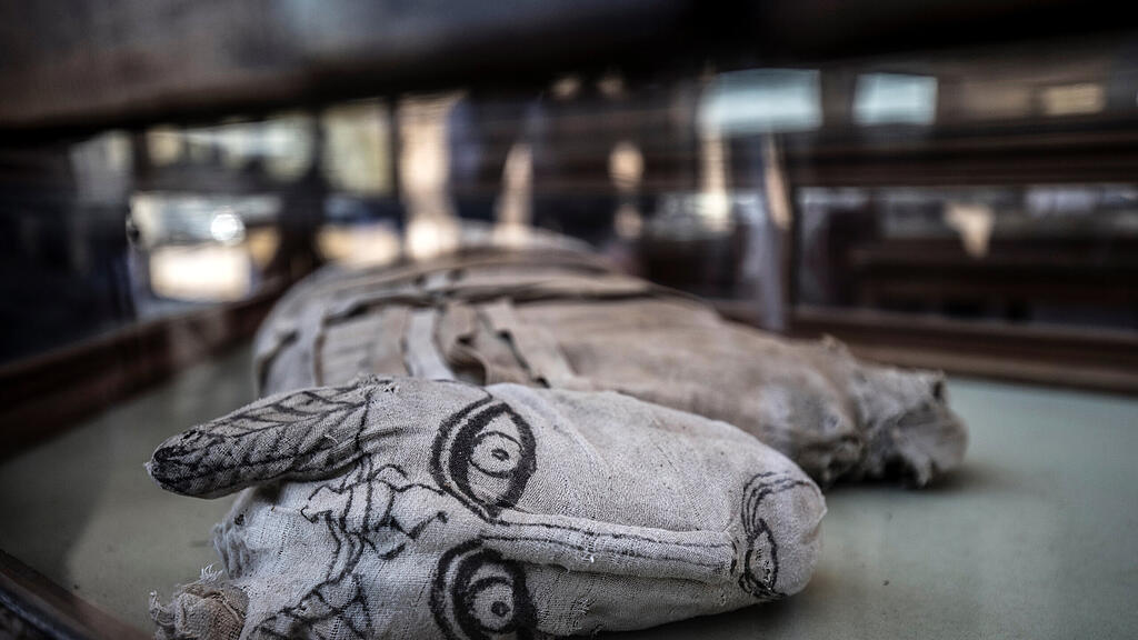 Mumifizierte Löwenbabys in Ägypten