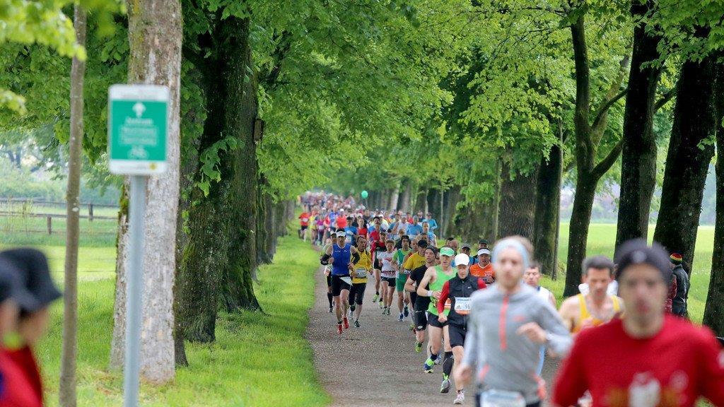 11. Salzburg-Marathon I