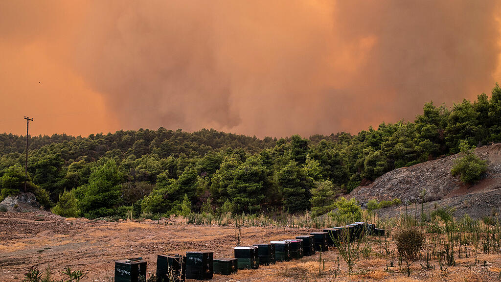 Feuer auf griechischer Insel