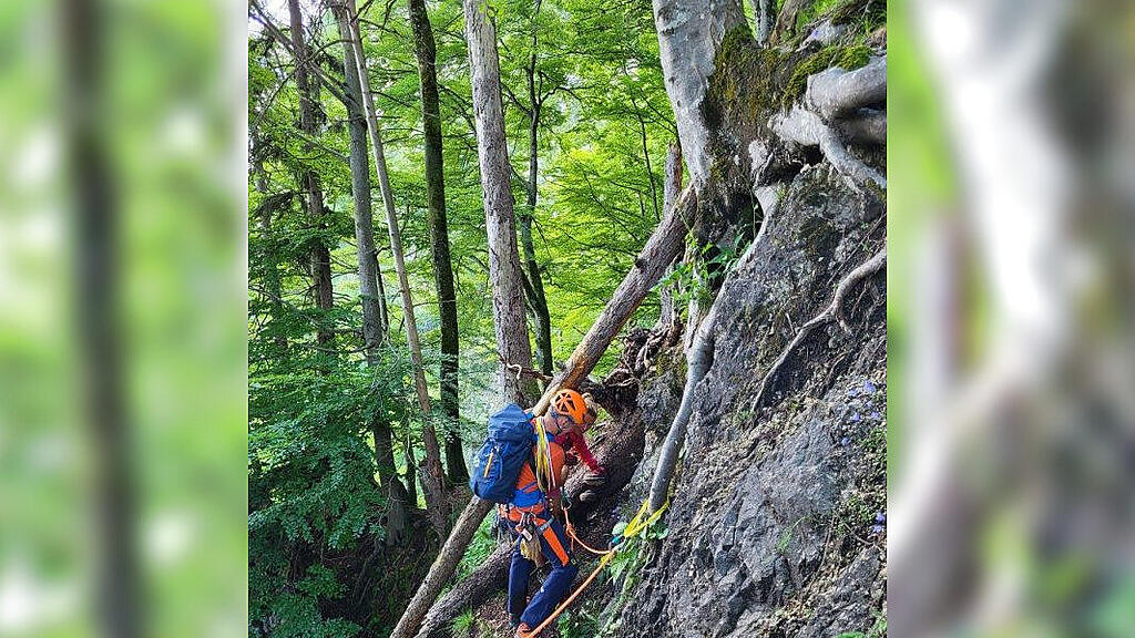 Frau aus Grödig stürzt am Untersberg ab