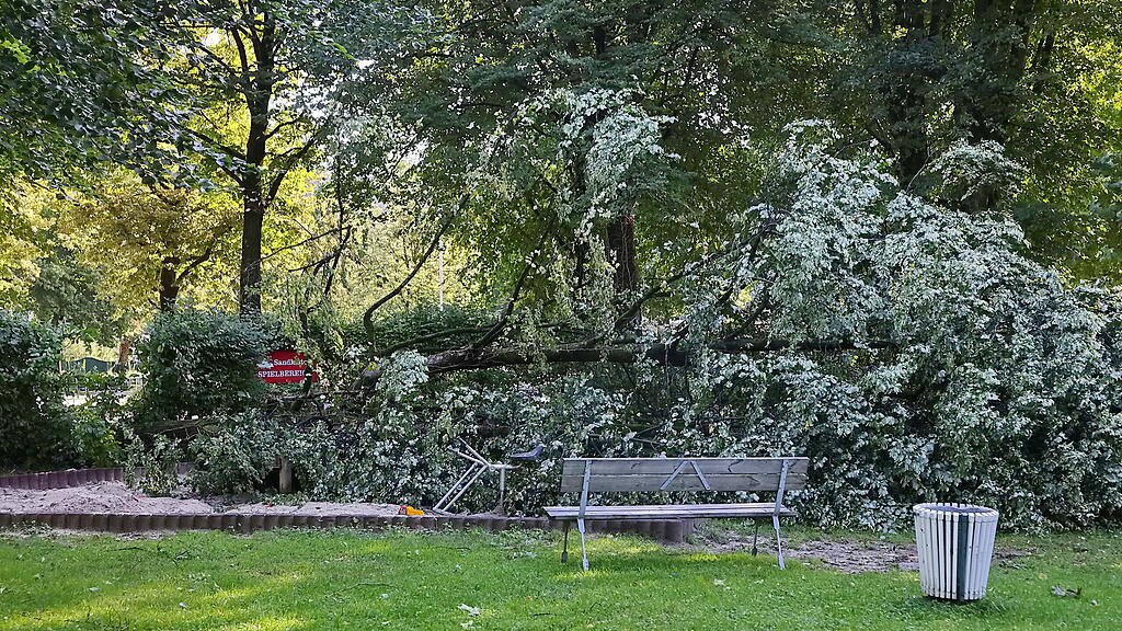 lepi unwetter schäden