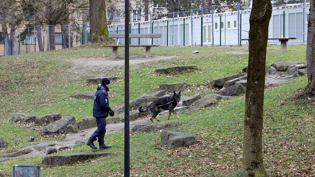 20240201fmt_Toter_lehenerpark_mw-16.jpg