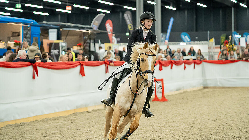 Amadeus Horse Indoors 2023