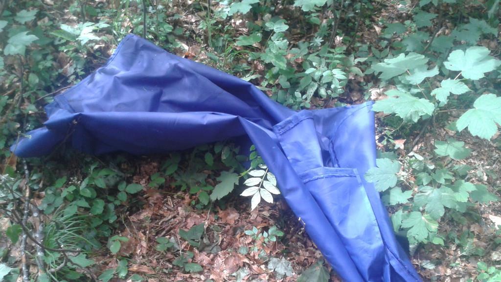 Tresor beim Gaisberg entdeckt
