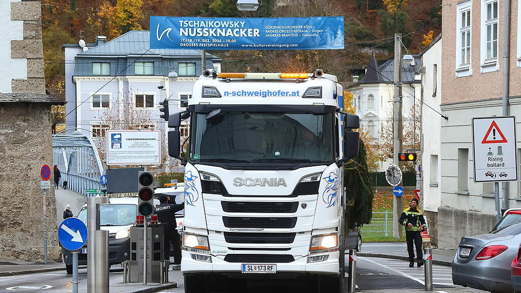 Baum am Christkindlmarkt eingetroffen II