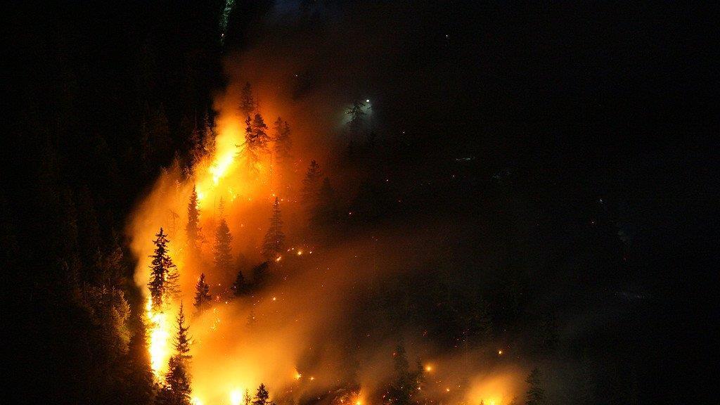 Waldbrand am Thumsee, III