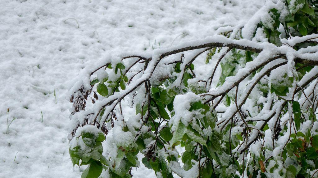Schnee in Bad Gastein