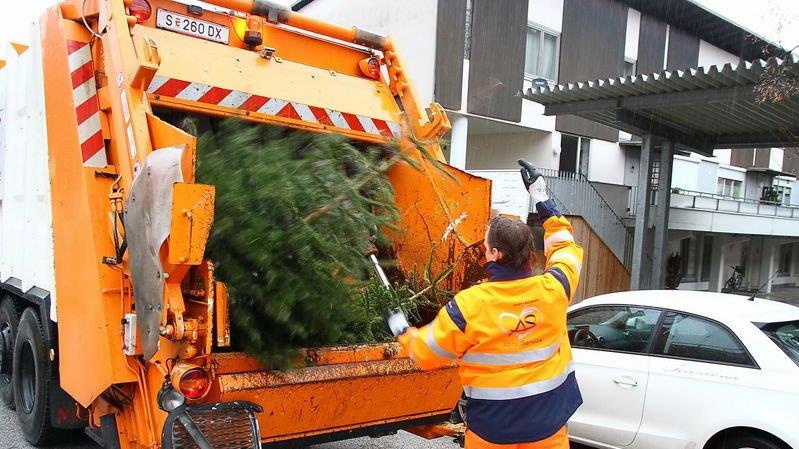 Christbaum-Entsorgung