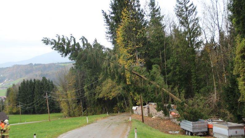 Einsätze in Thalgau