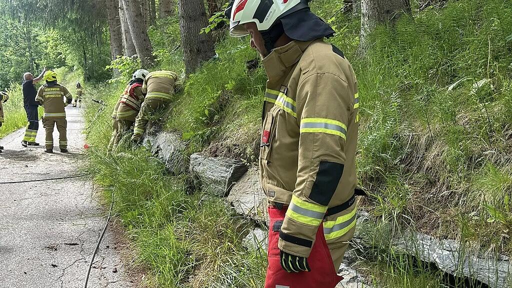 Baum stürzt in Ramingstein auf Bahngleise