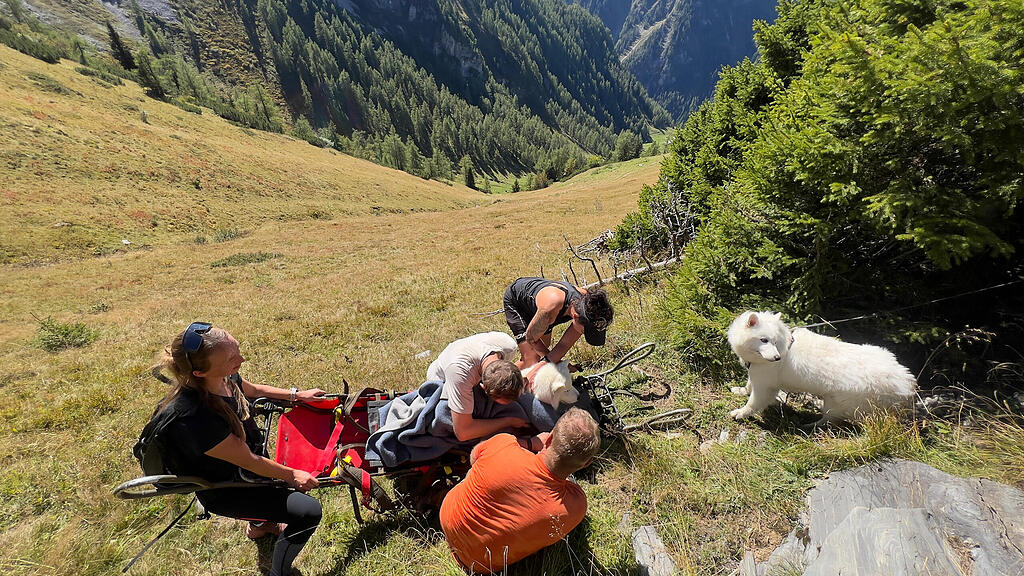 Hund gerettet