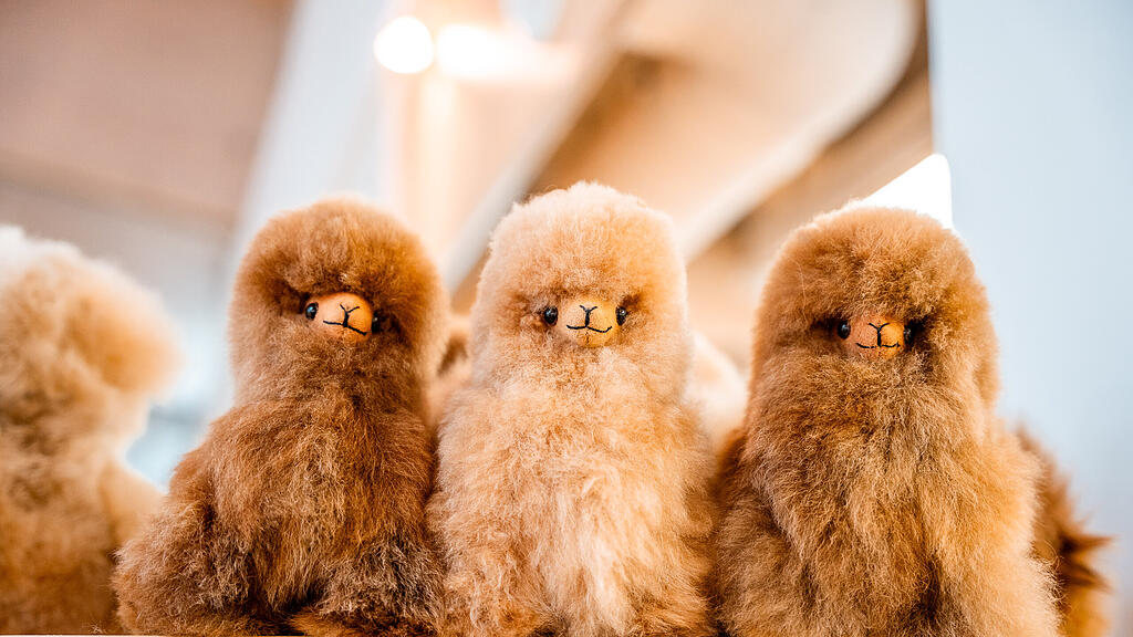 Design & Kunstmarkt in der Brandboxx