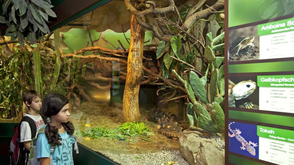 Haus der Natur