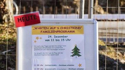 Warten aufs Christkind im Zoo