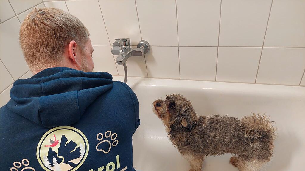 pet patrol