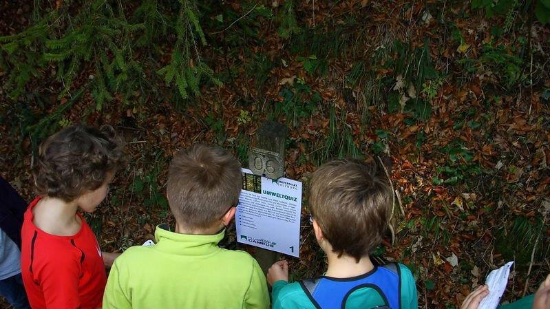 Charity-Walk am Gaisberg
