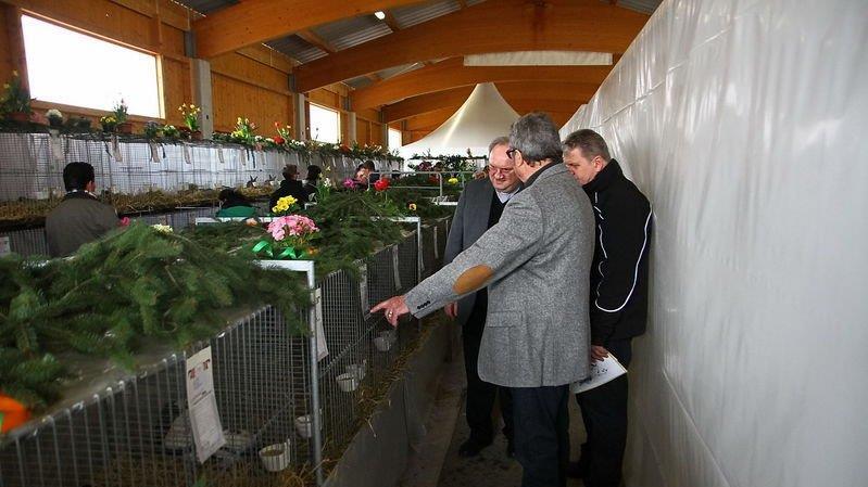 Bilder der Ausstellung