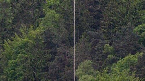 16-Jähriger bricht zusammen: Rettung