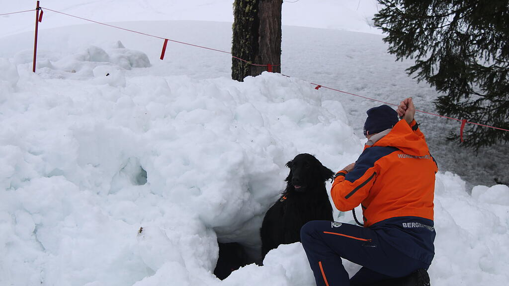 Lawinenhunde Bergrettung Training