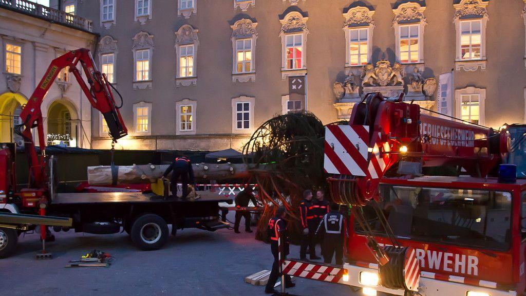 Christbaum ist angekommen