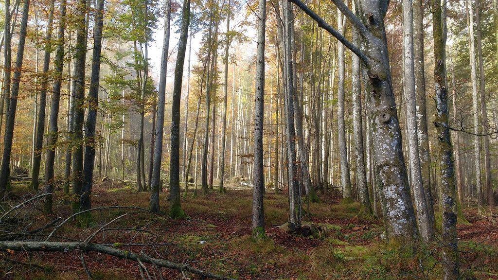 User-Bilder: Herbst in Salzburg