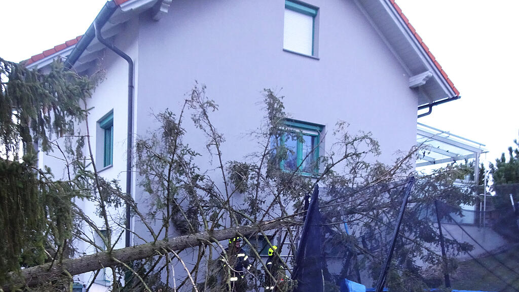 Sturm, Bianca, Braunau