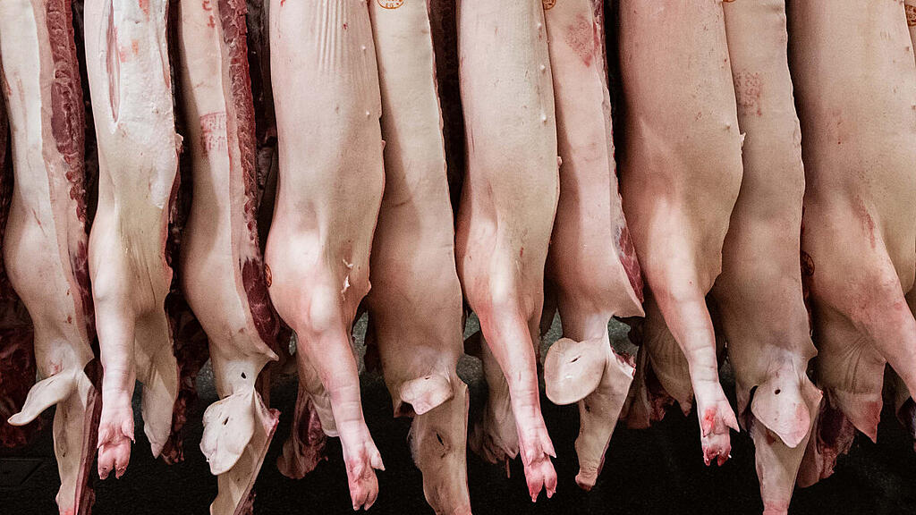 Fleisch- und Milchindustrie emittieren viele Treibhausgase