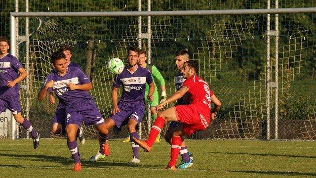 Austria Salzburg - Steyr