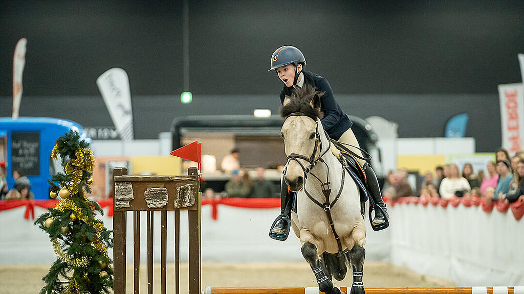 Amadeus Horse Indoors 2023
