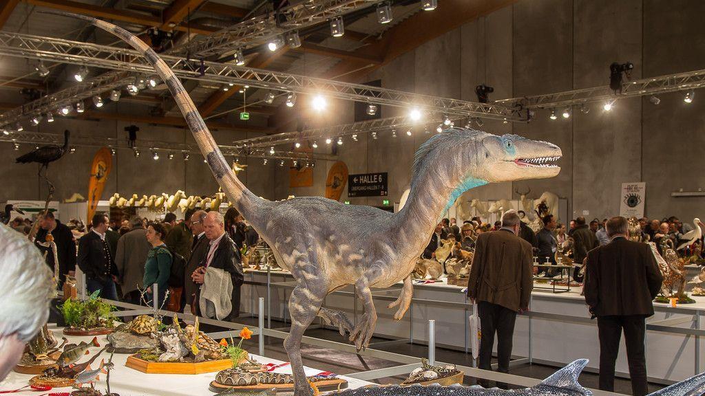 Hohe Jagd und Fischerei III