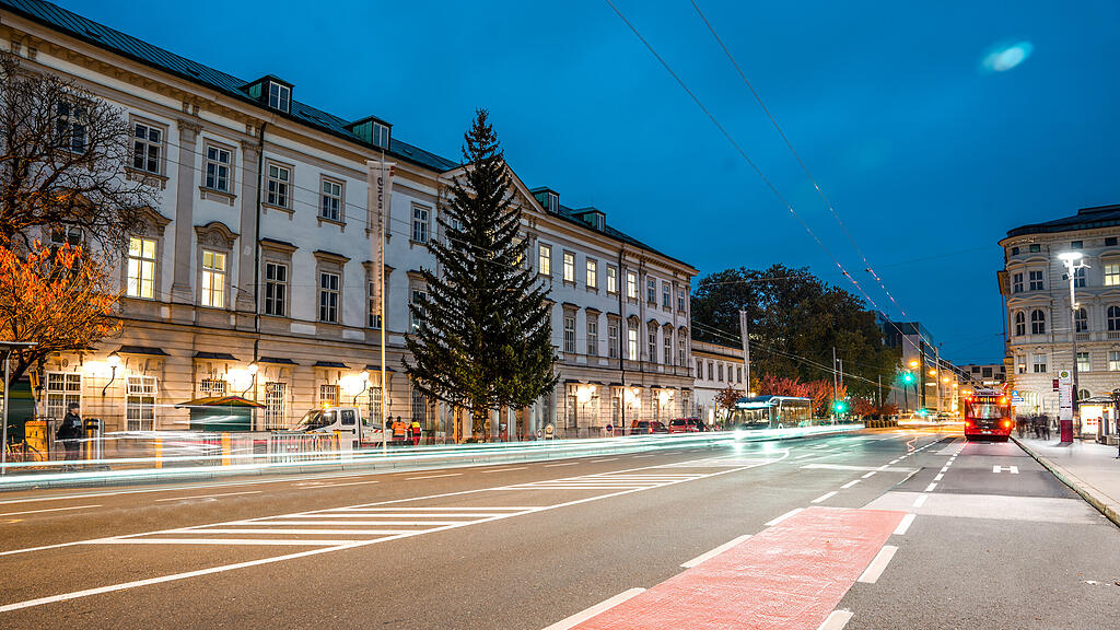 Christbaum MIrabellplatz