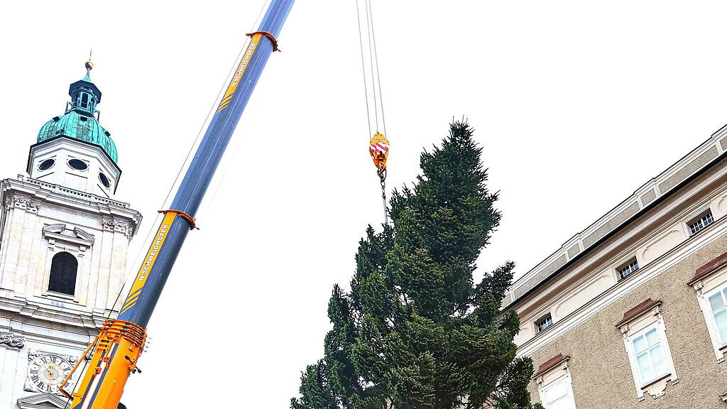 Baum am Christkindlmarkt eingetroffen II
