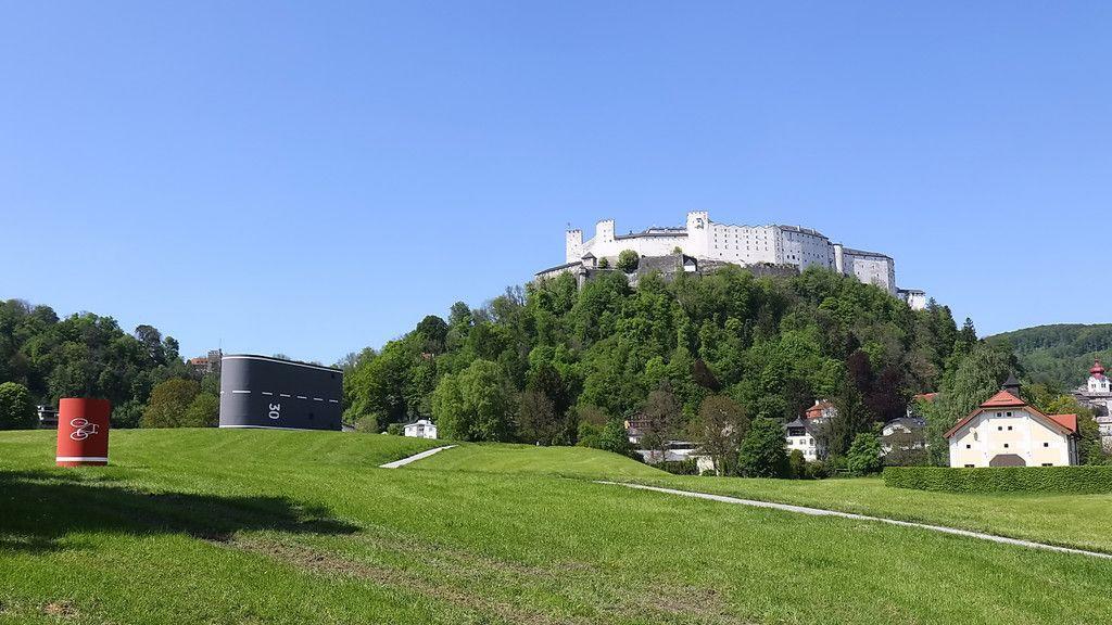 "Rüben" am Krauthügel