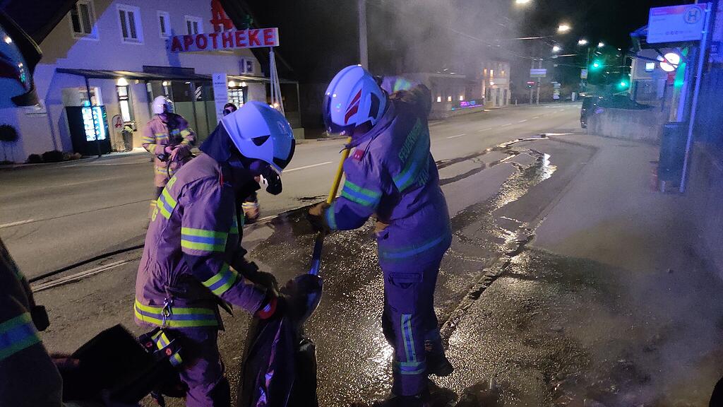 Mülltonne brennt in Hallwang
