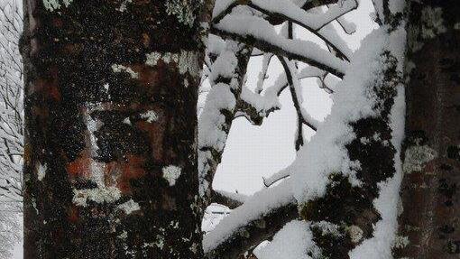 Winterliches Osterwetter