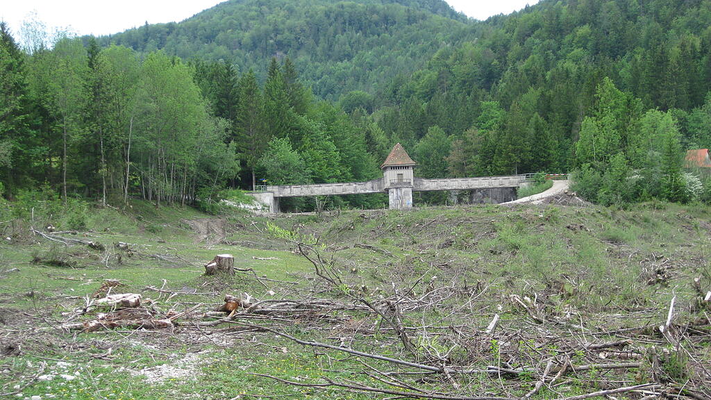 3.jfif