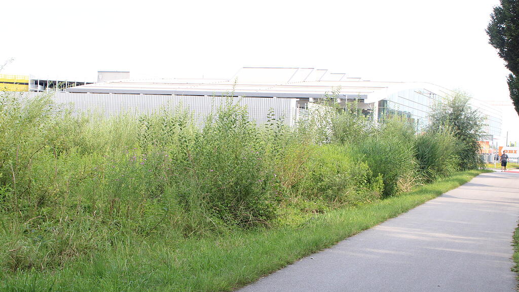 Maxglaner Baulücke für geplantes Oldtimer-Depot