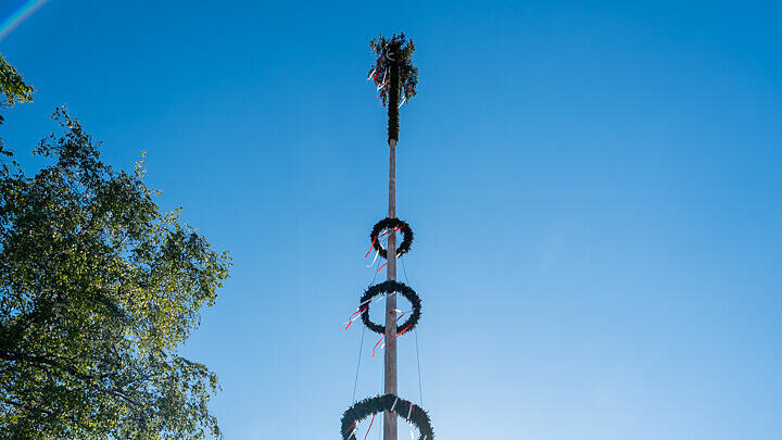 Maibaumaufstellen in Wals (am Kirchenplatz)