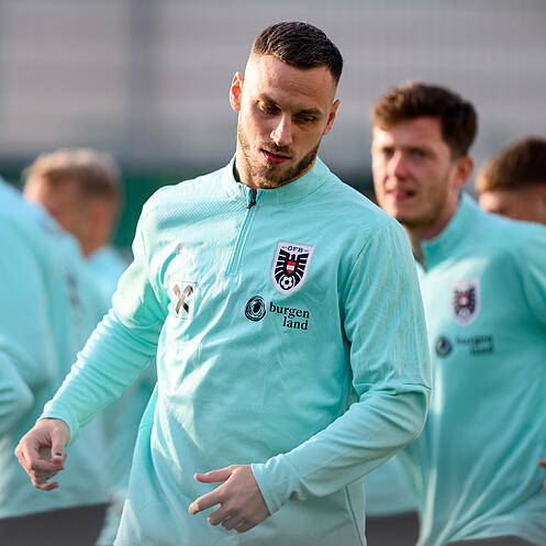 Marko Arnautovic (