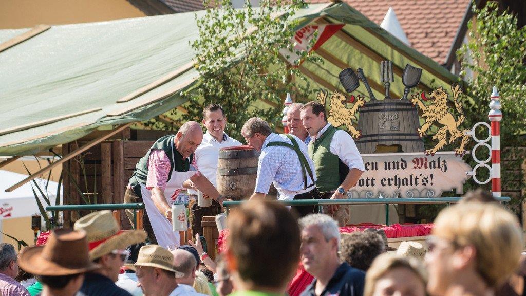 Walser Dorffest 2015, II