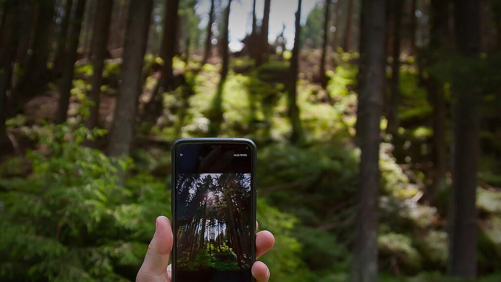 symb_wald symb_handy symb_natur