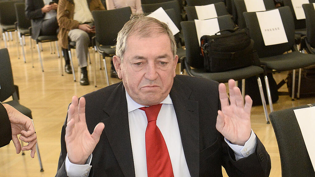 Heinz Schaden
