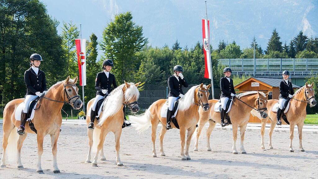 Bundesmeisterschaft Noriker Cup-Turmier Halfinger