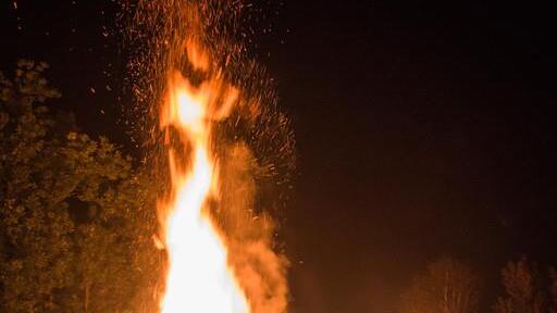 Burning Animal II