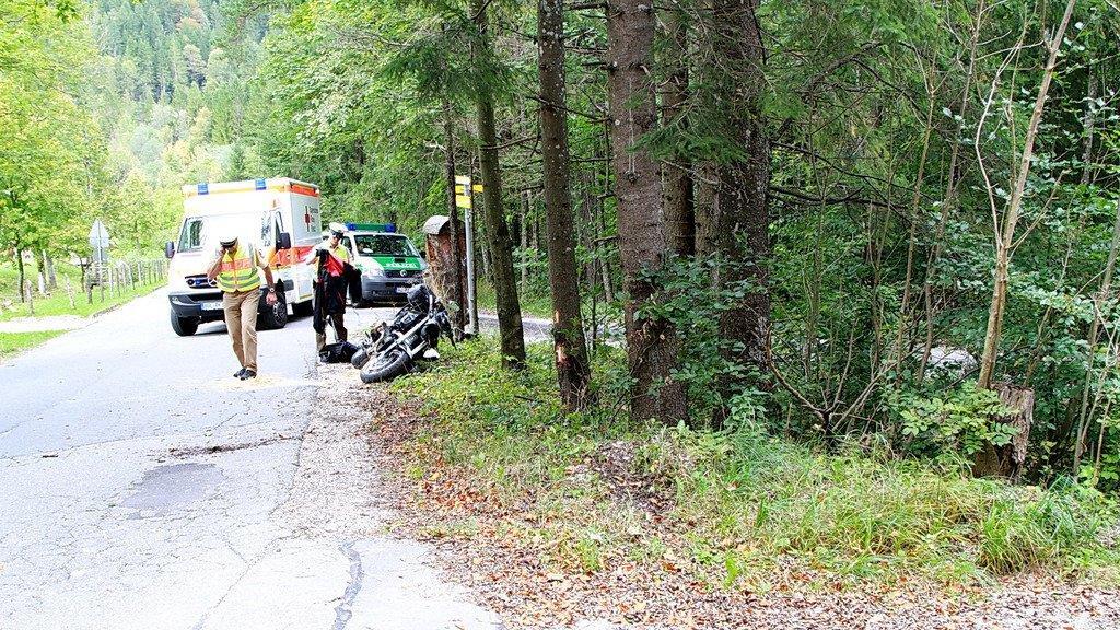 Biker prallt in Baum