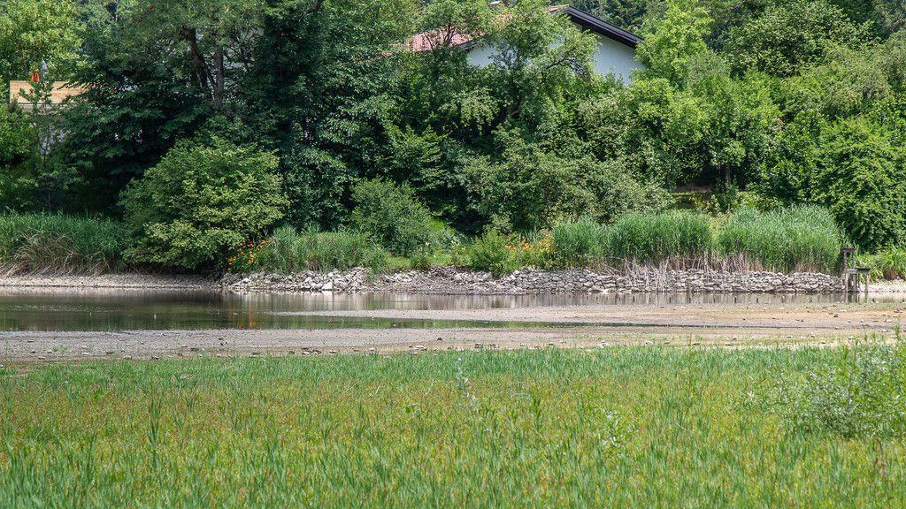 Verlandeter Weiher in St. Jakob am Thurn