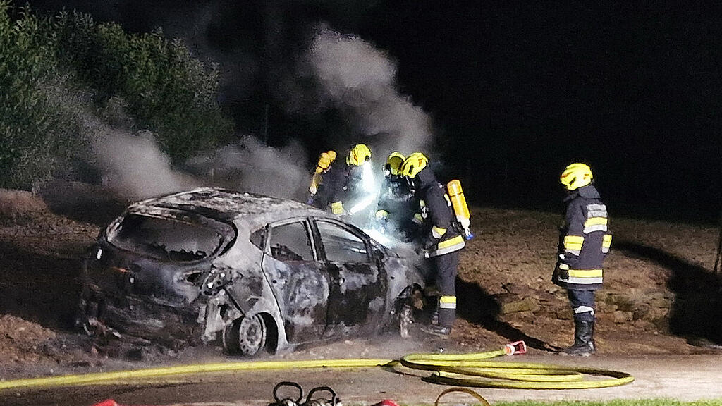 Pkw-Brand_Tulln