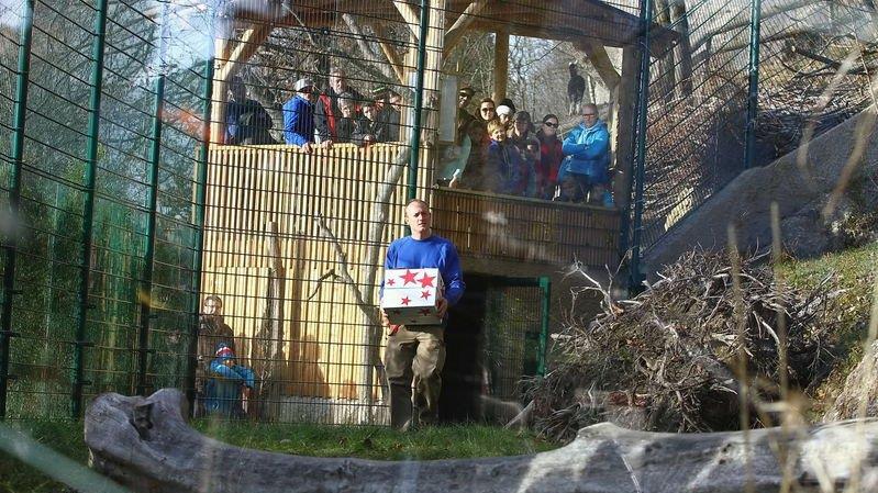Warten aufs Christkind im Zoo, II