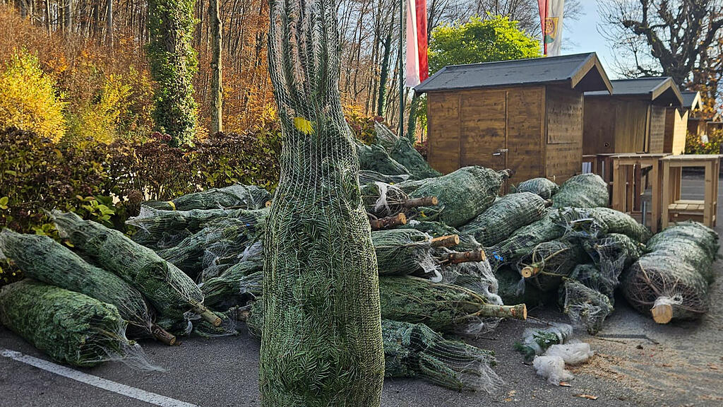 Aufbau des Plainer Christkindlmarkts in Bergheim