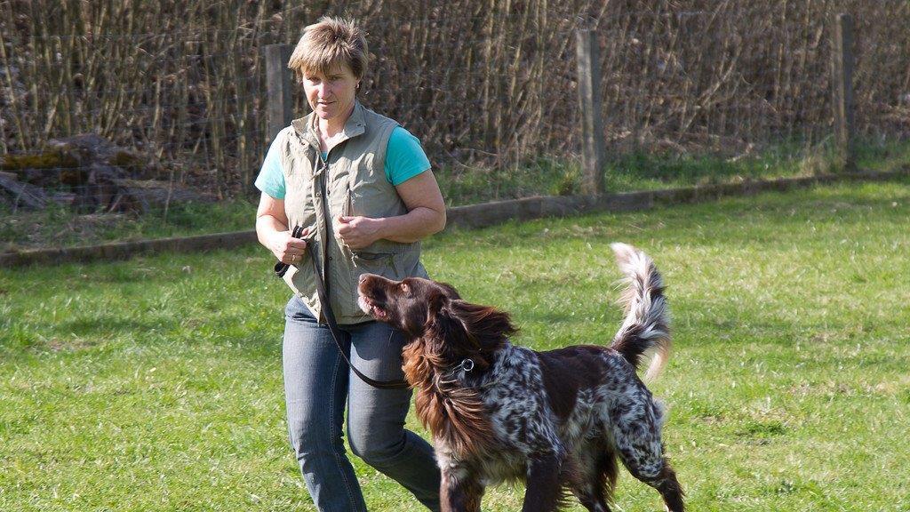 "Der gelbe Hund" in Nußdorf